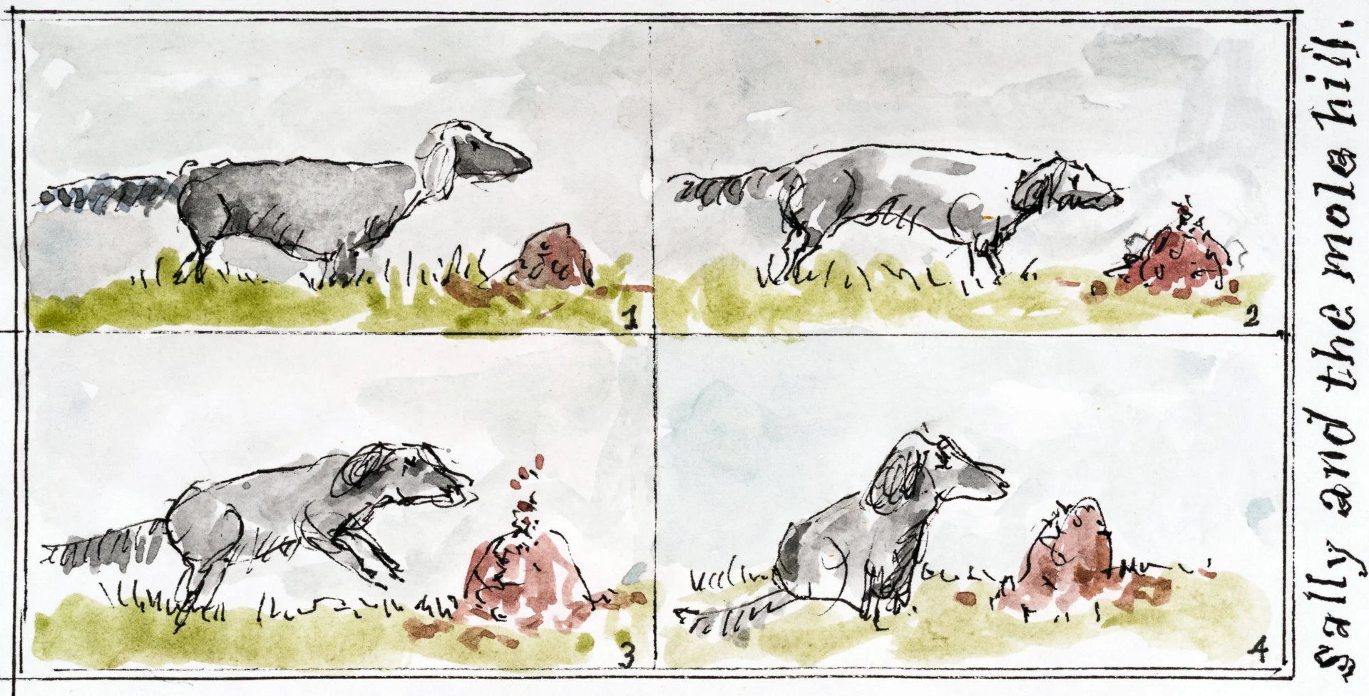 sally and the Molehill