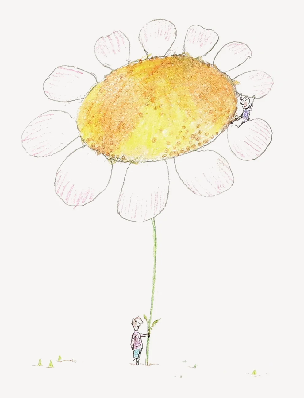 F is for Flower illustration