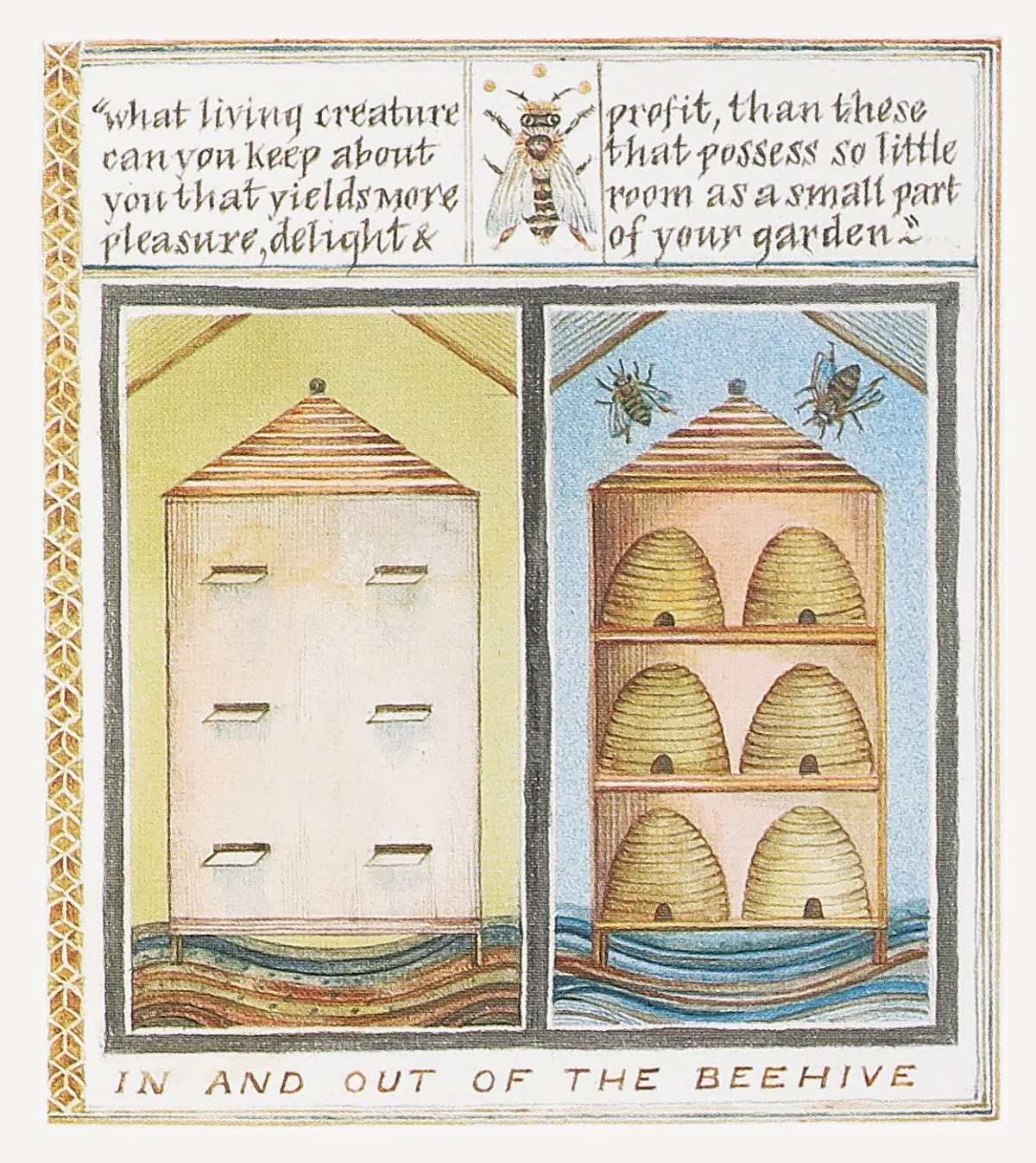 beehive