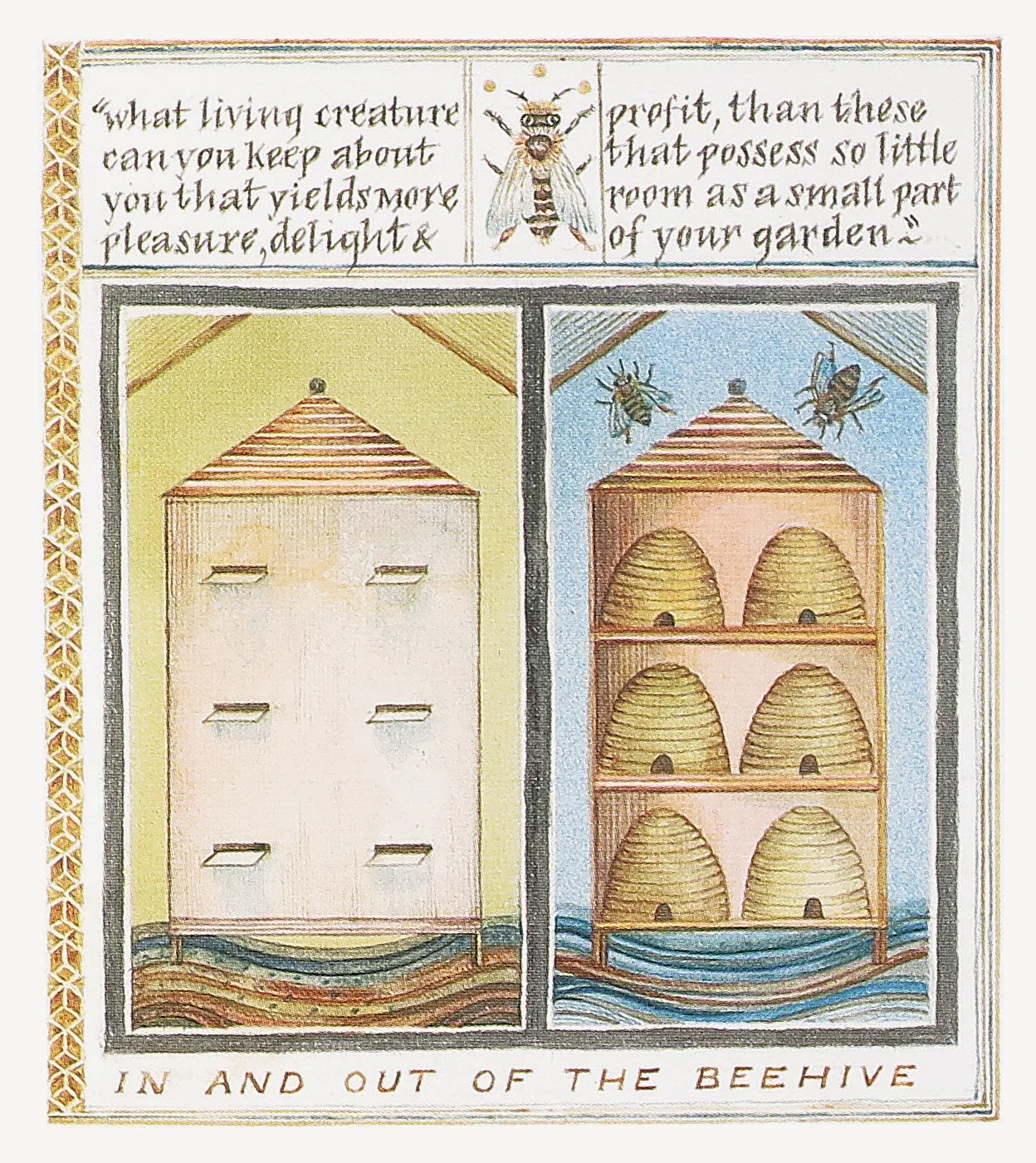 beehive