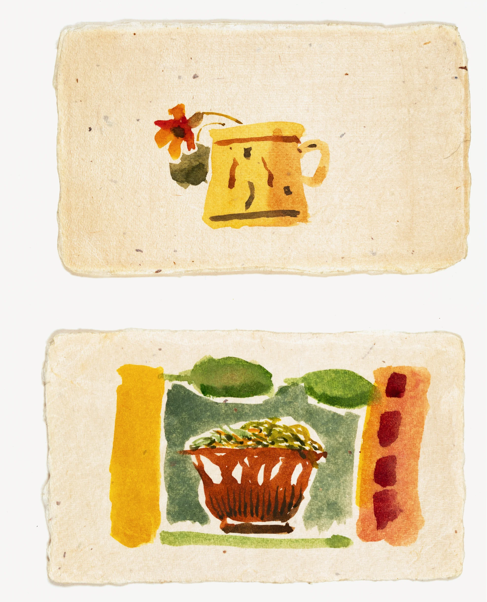 plant pot and salad bowl