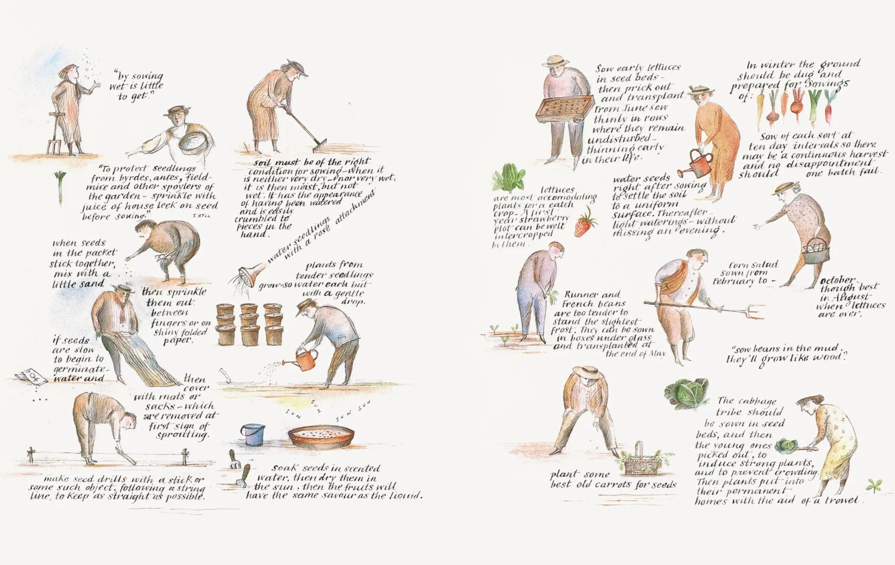 digging planting illustration