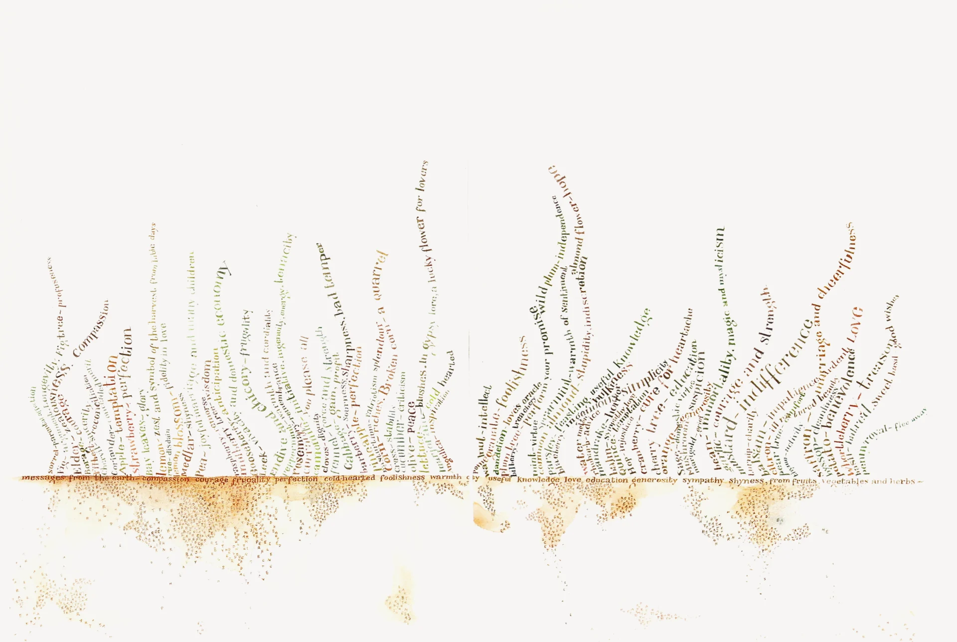 wavey type illustration